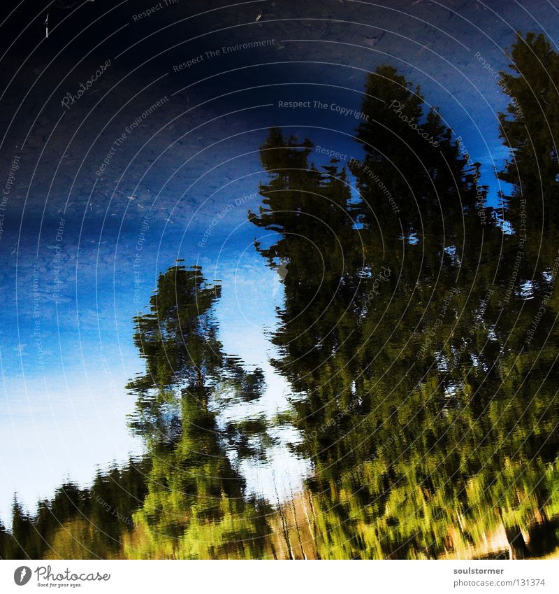 deep blue Tree Mirror Lake Spring Winter Cold Wet Disgust Reflection Brown Square Sky Water Ice Branch ihh Blue