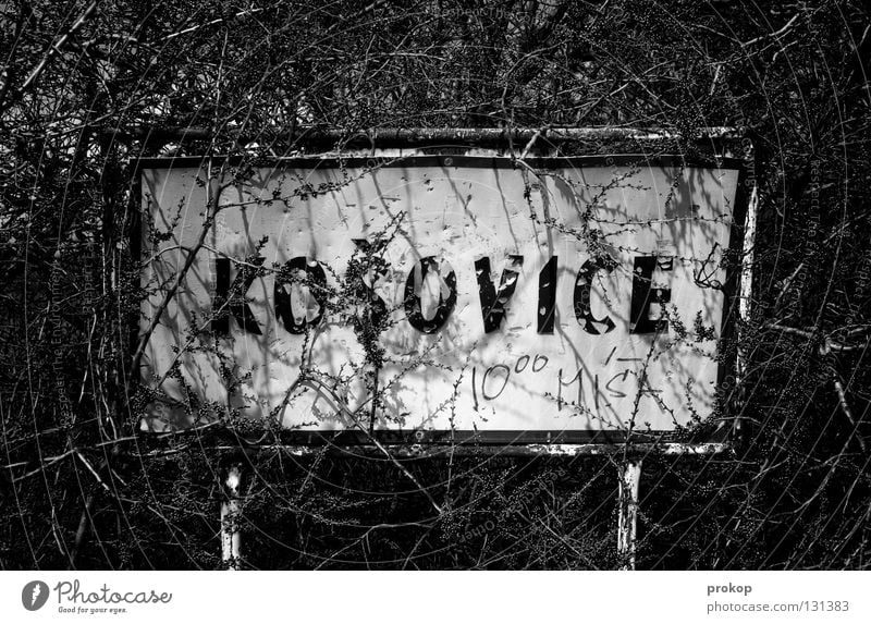 Breakfast Meeting East Village Bushes Growth Society Thorn Date Wilderness Letters (alphabet) Word Black & white photo Street sign Characters Signs and labeling