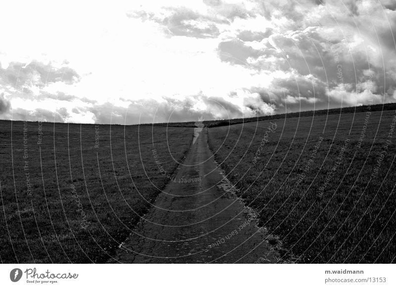 on the way to the horizon 1 Field Meadow Clouds Horizon Mountain Lanes & trails Street