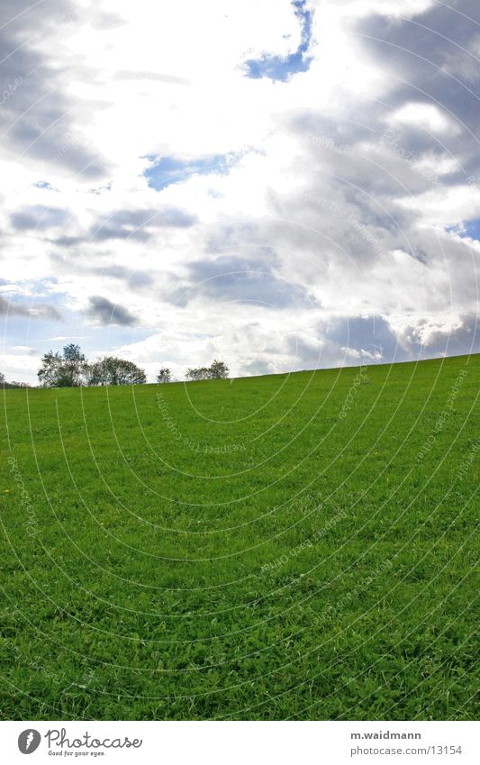 slight gradient Meadow Green Grass Field Clouds Tree Mountain Sky