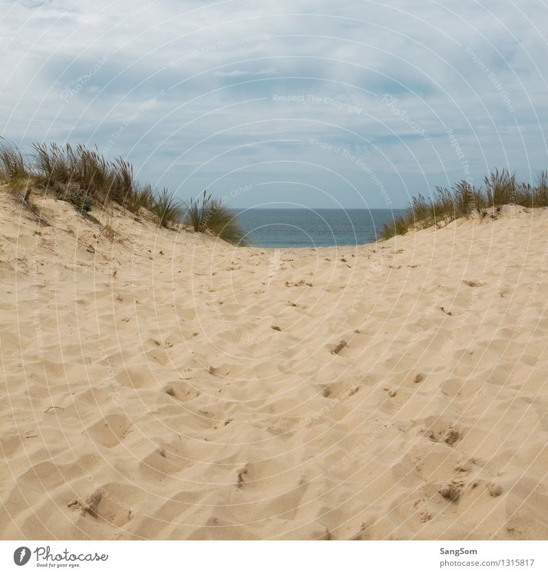 Dune landscape with a view of the Atlantic Ocean Vacation & Travel Far-off places Summer Summer vacation Beach Waves Nature Landscape Sand Water Sky Clouds