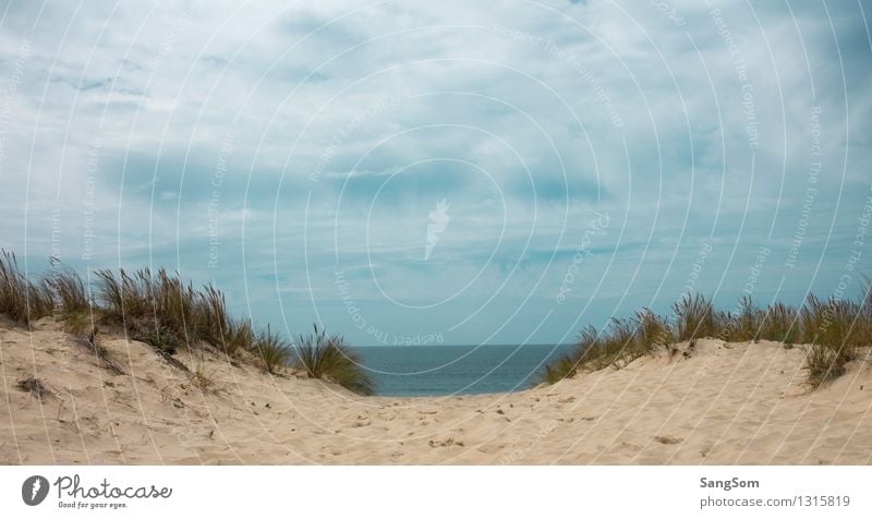 Atlantic view Vacation & Travel Far-off places Freedom Summer Summer vacation Ocean Nature Landscape Sand Water Sky Clouds Beautiful weather Wind Bushes Hill