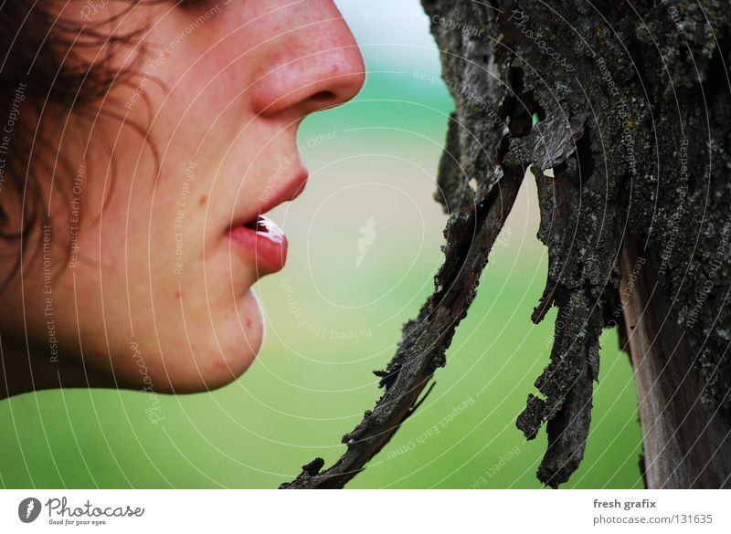 breath the tree Breathe Tree Tree bark Nature Detail Face