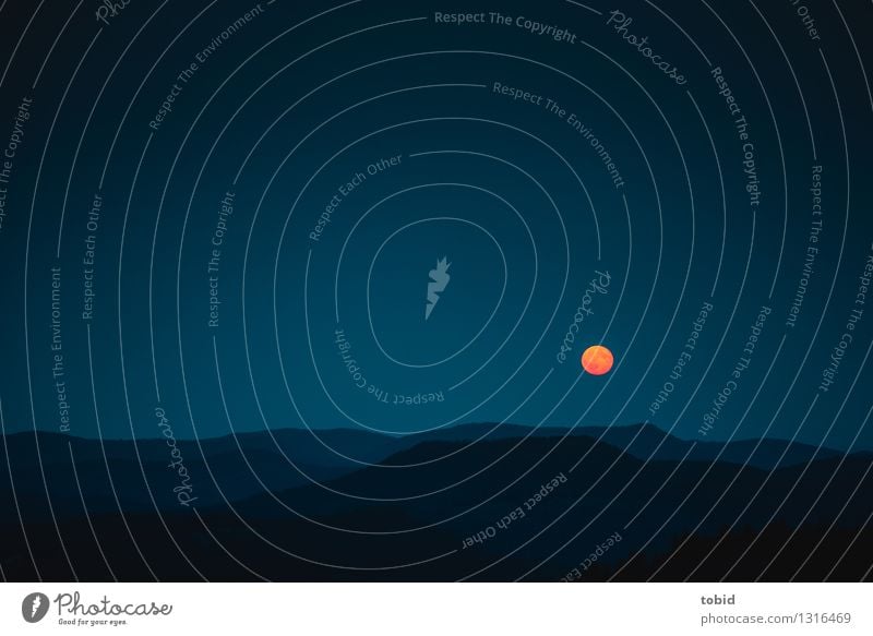 moonrise Nature Landscape Sky Cloudless sky Horizon Moon Full  moon Beautiful weather Forest Hill Mountain Exceptional Infinity Uniqueness Idyll Far-off places