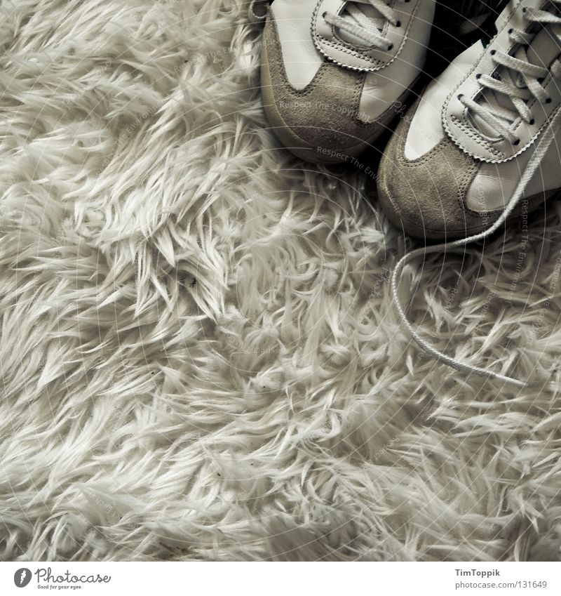 Sneak on my flocati Carpet Footwear Sneakers Flock carpet Shoelace Living room Bushy Soft White Tasteless Seventies Clothing Interior design flokatite carpet