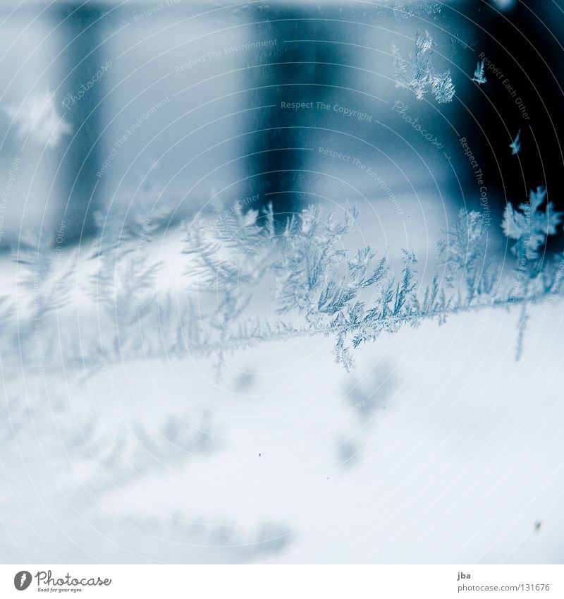 snow star Ice crystal Cold Pattern Gray Winter Window pane Glass Snow Frost depth blur window lift Driver's cab