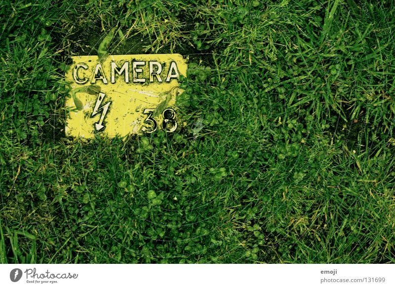 camera greenura Lightning Green Grass Ask Cohesive Photography Take a photo Leisure and hobbies Art Bird's-eye view Yellow Fresh Photographic technology