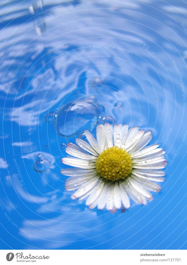 colorful Colour photo Multicoloured Detail Macro (Extreme close-up) Deserted Copy Space top Day Reflection Motion blur Long shot Joy Beautiful Wellness