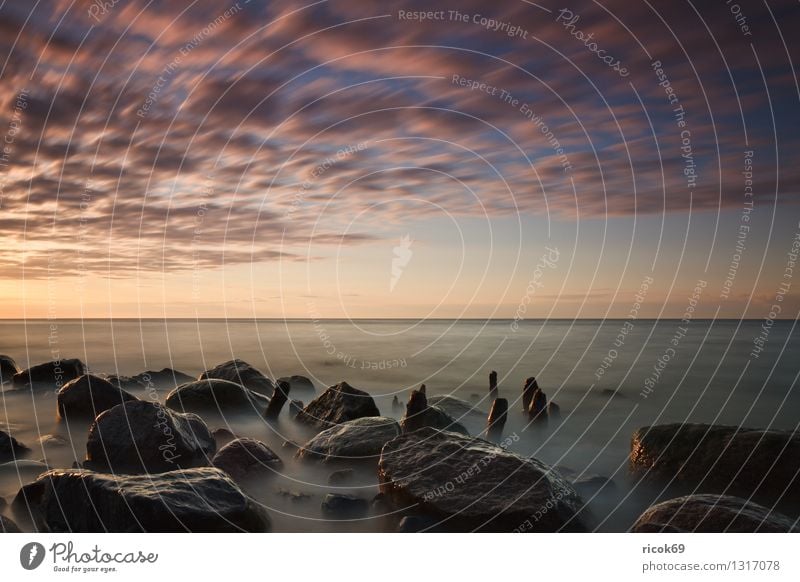 Baltic coast Beach Nature Landscape Water Clouds Coast Baltic Sea Ocean Stone Romance Idyll Vacation & Travel Tourism Break water Sunset Sky Dramatic Dusk