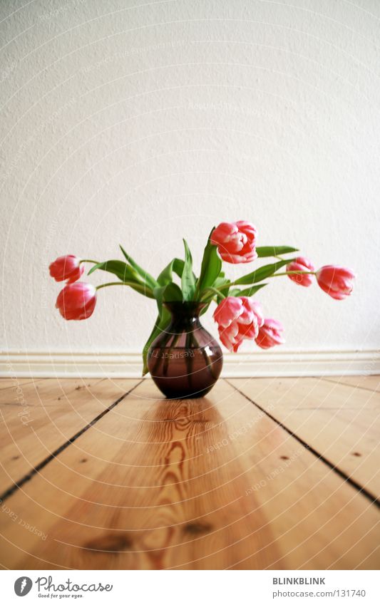 #2 Tulip Bouquet Flower vase Vase Retro Violet Pink Wall (building) Wood Spring Green Netherlands glass vase Glass Hallway Decoration interior Water Life Plant