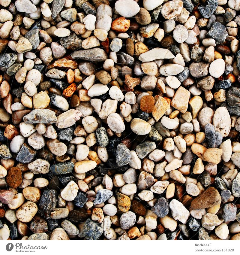 pebbles Stony Hard Stone path Pebble Pattern Beach Gravel Grainy Gritty Gravel path Multiple Background picture Coast Decoration Minerals stones stony road