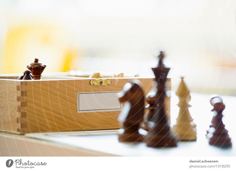 Won Leisure and hobbies Playing Chess Wood Joy Colour photo Subdued colour Close-up Deserted Copy Space top Light High-key Shallow depth of field