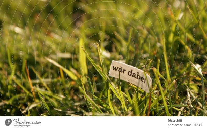 PINk Meadow Grass Newspaper Spring Physics Pink Playing Boredom Leisure and hobbies Letters (alphabet) Characters Life focus Macro (Extreme close-up) Warmth