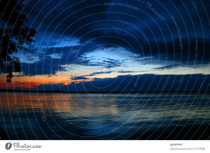 Postcard from Italy Twilight Red Yellow Black Sunset Tree Clouds Ocean Sky Joy Orange Blue Silhouette sunrise Idyll Branch Thunder and lightning Rain Weather