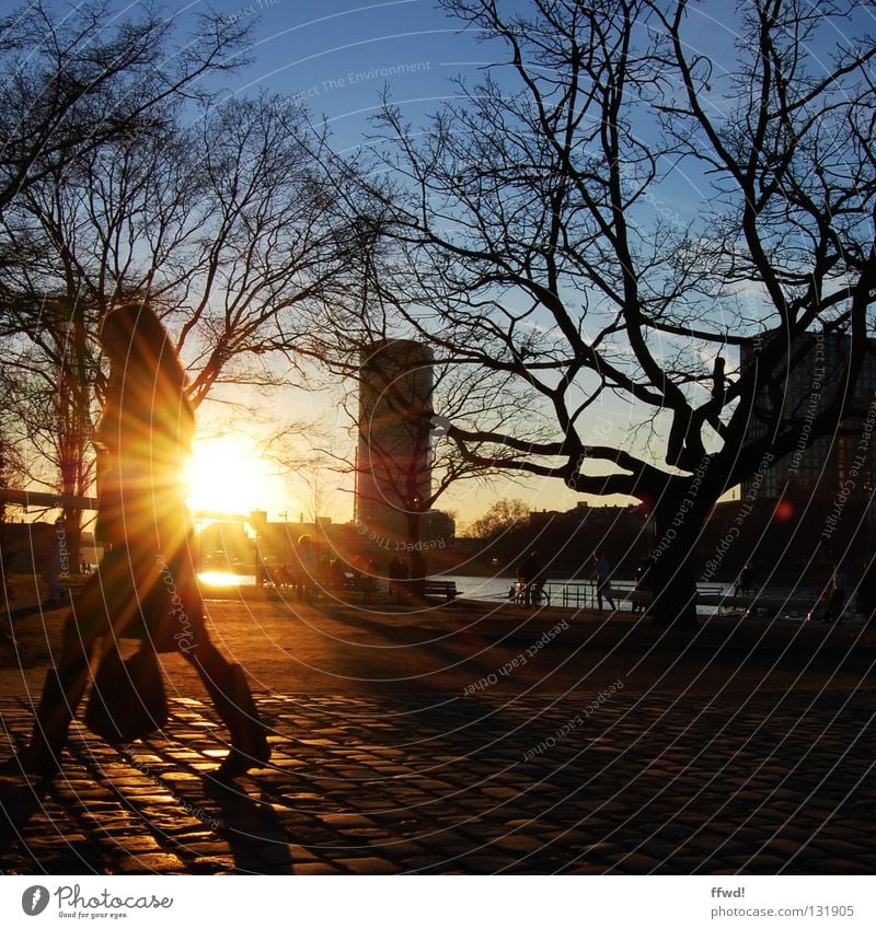 promenade Back-light Sunset Twilight Dusk Moody Evening sun Woman Handbag Silhouette Tree Pave To go for a walk Going Going out Single-minded Action River bank