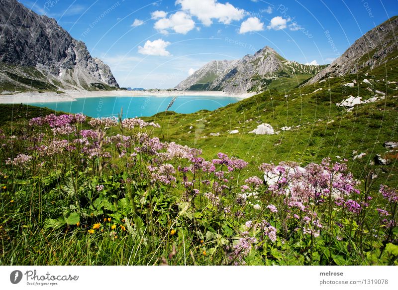 HOME II Vacation & Travel Tourism Mountain Hiking Nature Landscape Earth Water Sky Clouds Summer Flower Grass Wild plant Mountain meadow Flower meadow Rock Lake