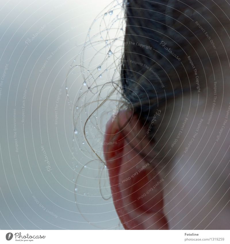 It was wet! Human being Feminine Child Girl Infancy Skin Head Hair and hairstyles Ear 1 Water Drops of water Near Wet Natural Colour photo Subdued colour