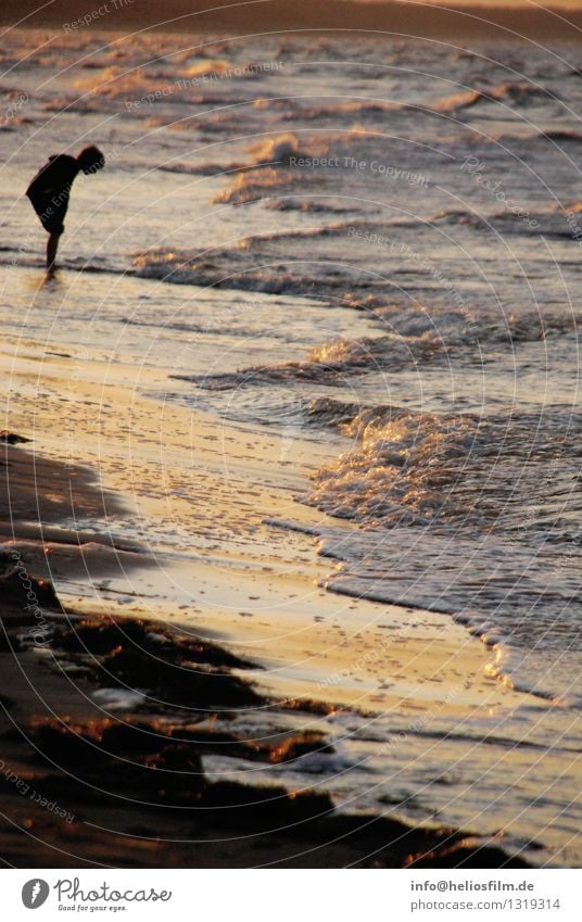 Boy at the sea Boy (child) 1 Human being 3 - 8 years Child Infancy Nature Landscape Water Waves Coast Lakeside Beach Baltic Sea Ocean Looking Yellow Orange