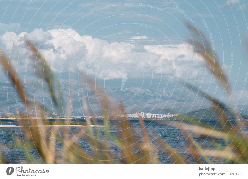 split - marjan Town Port City House (Residential Structure) Sustainability Grass Common Reed Clouds Storm clouds Split Croatia Coast Mountain Marjan