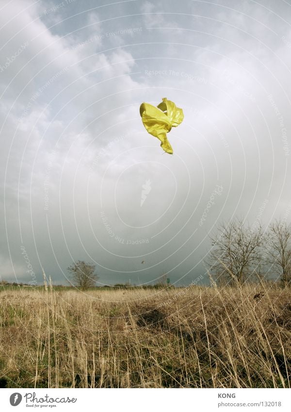 free your soul Textiles Cloth Tailor Hover Airplane Airy Judder Ghosts & Spectres  Clouds Bad weather Frozen Snapshot Common Reed Meadow Horizon Peace Clothing