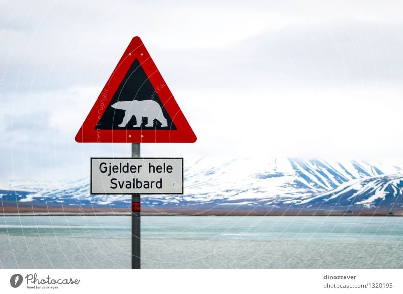 Polar bear sign Vacation & Travel Trip Adventure Winter Snow Mountain Nature Landscape Animal Sky Clouds Street Wild Red White Safety polar Bear warning danger