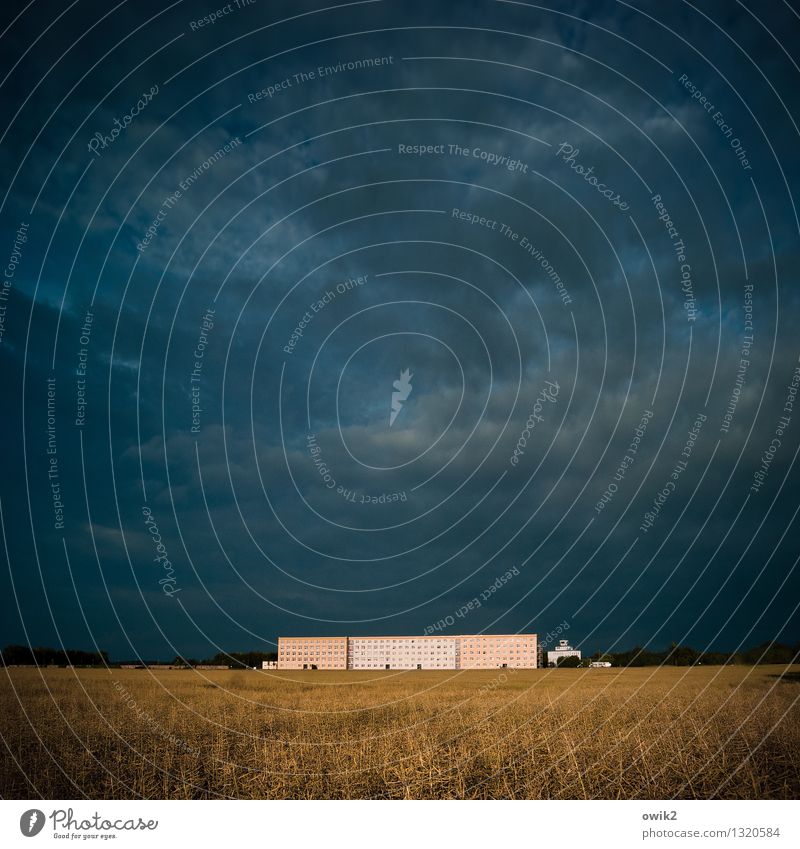 low-rise building Environment Nature Landscape Plant Sky Clouds Horizon Agricultural crop Canola field Field camenz Lausitz forest Germany Saxony Small Town