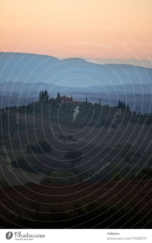 Dawn in the Val d´Orcia Environment Nature Sunrise Sunset Summer Field Calm Idyll Tuscany Vacation & Travel Italy Colour photo Exterior shot Deserted Morning