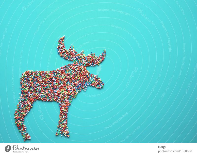 Moose figure decorated with small colourful sugar balls on turquoise background Food Candy Granules Coulored sugar candy Christmas & Advent Animal Sign Stand