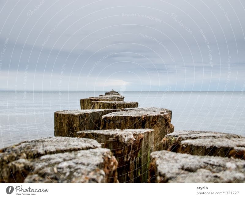 Passageway to the Baltic Sea Nature Landscape Water Sky Weather Coast Ocean Relaxation Infinity Blue Brown Moody Loneliness Energy Stagnating Environment