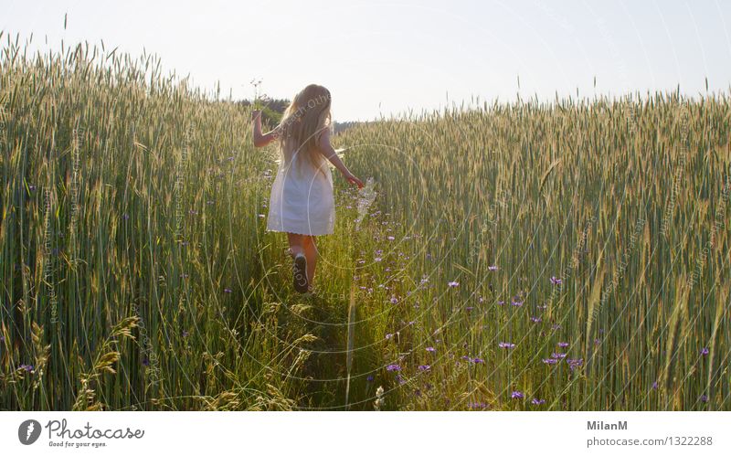 summer shimmer Girl 1 Human being 3 - 8 years Child Infancy Nature Summer Field Movement Discover Laughter Running Esthetic Blonde Fragrance Warmth Joy Happy