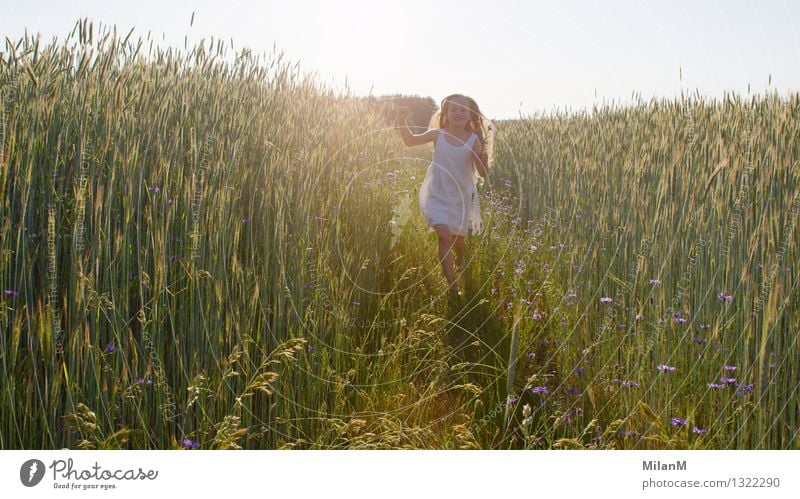 summer air Human being Girl 1 3 - 8 years Child Infancy Sun Sunlight Beautiful weather Field Movement Discover Smiling Illuminate Blonde Fragrance Free