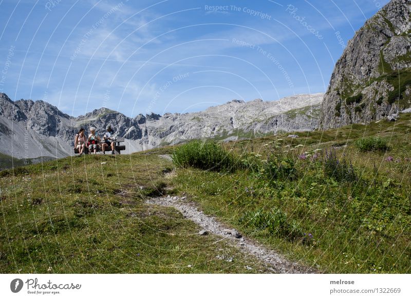 Hiking PAUSE Tourism Mountain Human being 3 45 - 60 years Adults Nature Landscape Earth Sky Clouds Summer Beautiful weather Wild plant alpine meadow grasses