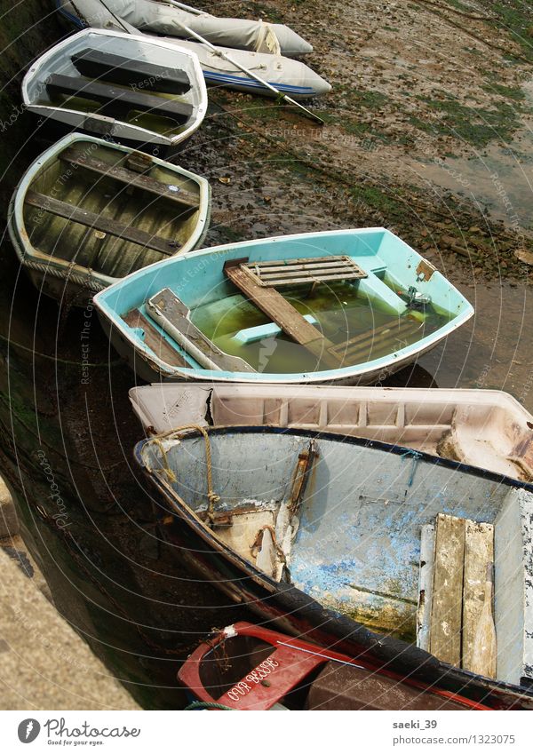 collection Aquatics Calm Low tide Fishery Watercraft England Harbour Colour photo Multicoloured Exterior shot Day Contrast