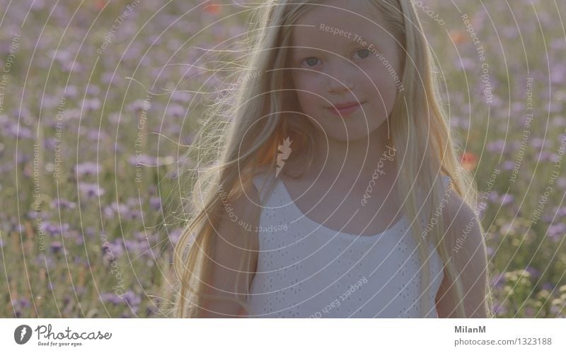 summer air Happy Summer Summer vacation Sun Feminine Girl Sister Infancy Face 1 Human being 3 - 8 years Child Nature Warmth Agricultural crop Field Think