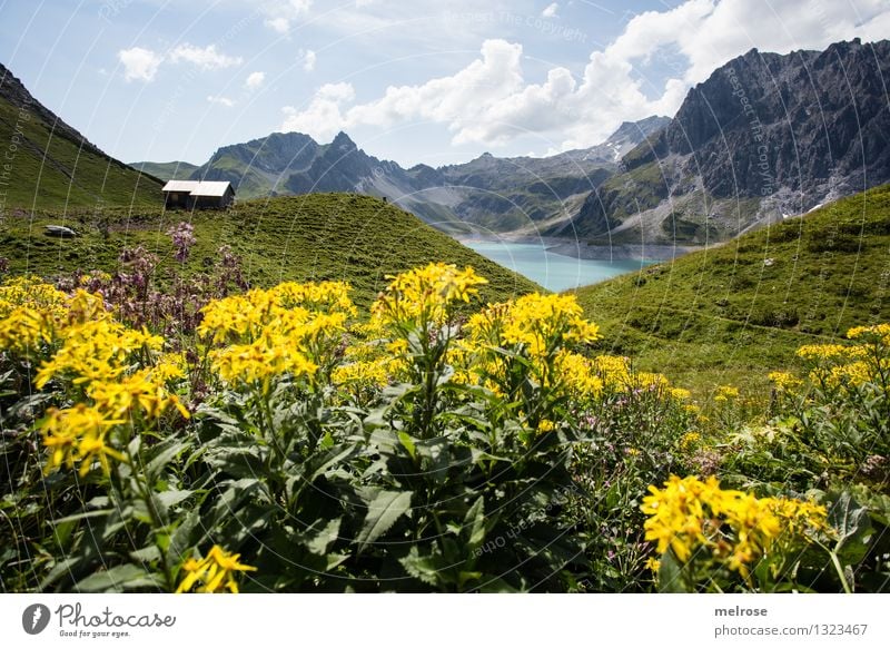 Homeland IV Vacation & Travel Tourism Mountain Hiking Nature Landscape Water Sky Clouds Summer Grass Bushes Wild plant Mountain meadow Flower meadow Lake