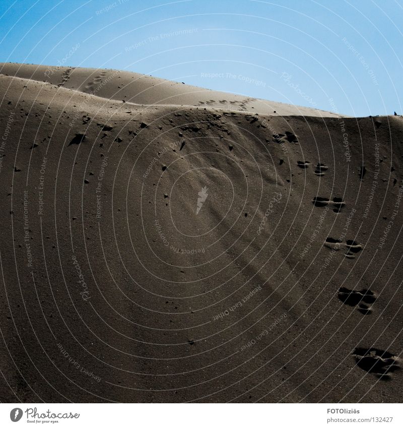 desert feeling in sandwerk II Beach Grain of sand Sandpit Hill Footprint Desert buttock Sky Beautiful weather Structures and shapes traces in the sand Feet