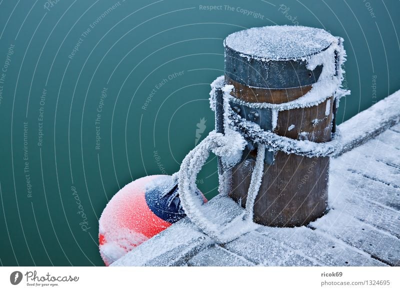 bollards Winter Rope Water Ice Frost Coast Baltic Sea Harbour Cold Colour Nature Calm Bollard Fender Footbridge Jetty Snow Dew Poel Island