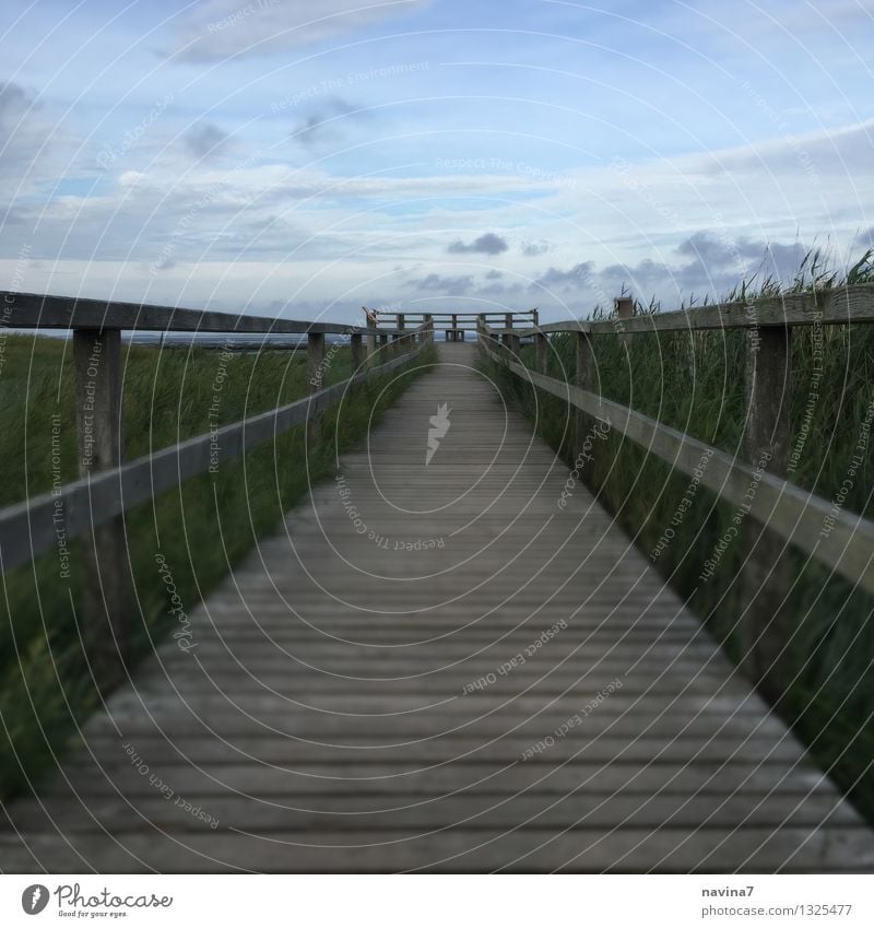 The Bridge of Dreams Vacation & Travel Tourism Far-off places Nature Old Infinity Maritime Hope Longing Wanderlust Loneliness Future Footbridge Target focus