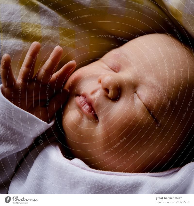 Baby close up Human being Feminine Toddler Sister Life Head Hand Fingers 1 0 - 12 months Lie Sleep Authentic pretty Small Contentment Joie de vivre (Vitality)