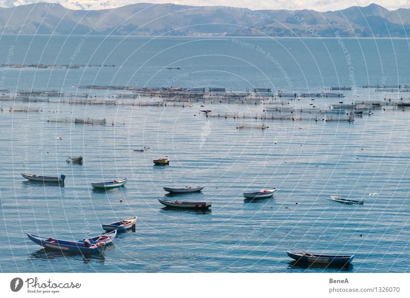 Lake Titicaca Fishing (Angle) Fishery Fisherman Fishing boat Fishing net Fishing port Landscape Water Mountain Andes Titicaca lake Bolivia Peru South America