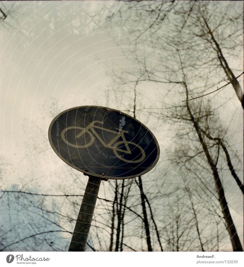 cycle path Cycle path Bicycle Footpath Tree Forest Wire netting Wire netting fence Double exposure Medium format The Assumption Cycle race Mobility Street sign