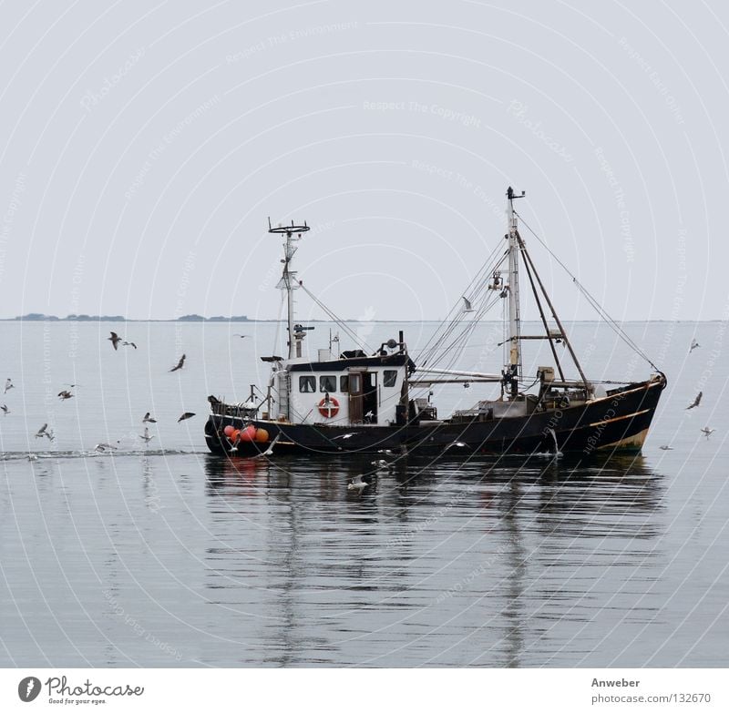 Fishing cutter between Sylt and Amrum Exterior shot Deserted Copy Space top Copy Space bottom Neutral Background Day Twilight Reflection