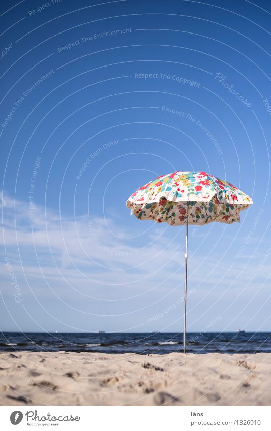 beach mushroom Baltic Sea Ocean Maritime Beach Sky Summer Vacation & Travel Usedom Tourism