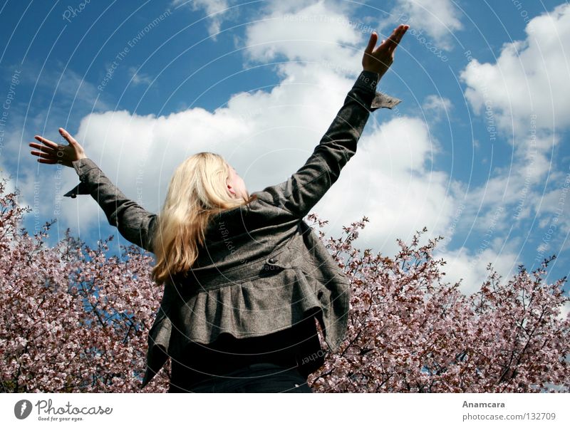 flying Clouds Cherry Cherry blossom Tree Spring Pink Blossom Woman Light heartedness Hope Expectation Multicoloured Blonde Applause Deities Summer Contentment