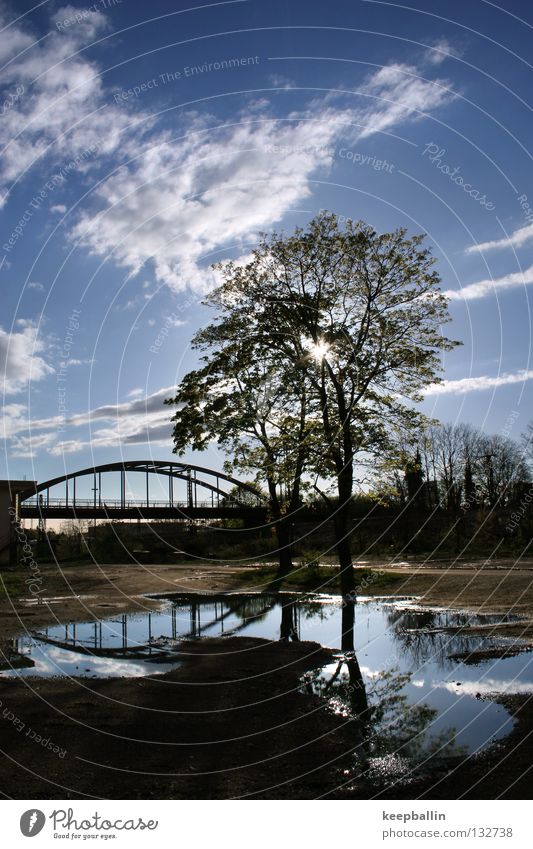 summer day Tree Reflection Puddle Freight station Clouds Physics Bridge Sky Blue Water Freiburg im Breisgau Warmth Shadow