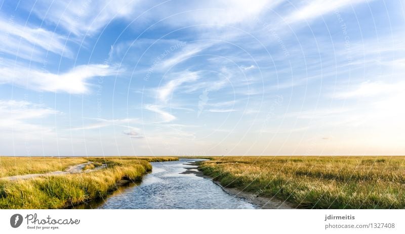 landscape Vacation & Travel Summer Summer vacation Environment Nature Landscape Plant Sky Clouds Beautiful weather Grass Coast North Sea Brook River