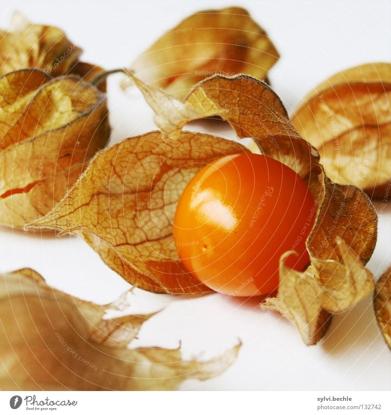 fresh and fruity Colour photo Multicoloured Interior shot Close-up Detail Pattern Deserted Neutral Background Day Contrast Food Fruit Nutrition Healthy