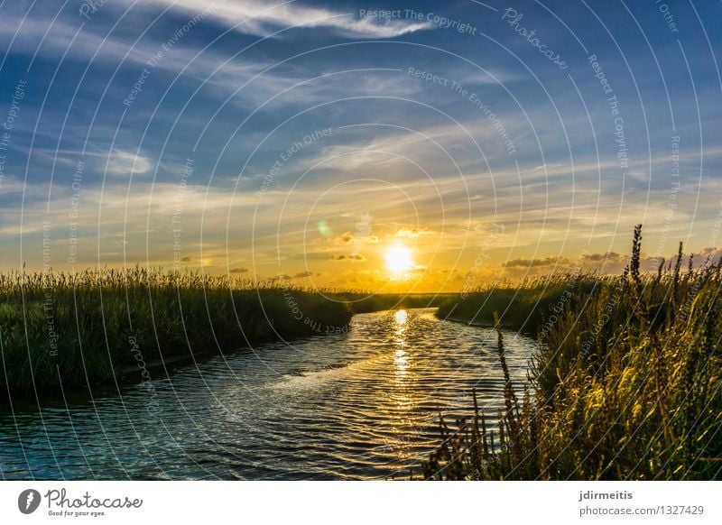 sunset Environment Nature Landscape Plant Water Sky Clouds Sun Spring Summer Autumn Climate Weather Beautiful weather Grass Bushes Coast North Sea Brook River