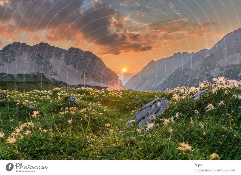 Beauty & Beauty Nature Landscape Plant Animal Sky Sunrise Sunset Sunlight Rock Alps Mountain Peak Happy Contentment Orange Moody Flower Stone Colour photo