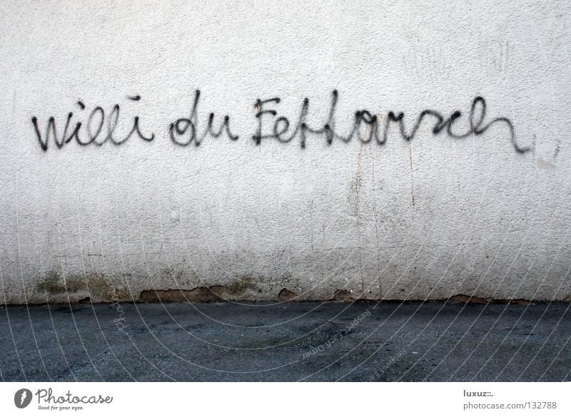 Poor Willi Show disrespect Wall (building) Affront Psychological terror Figure of speech Education Moral Feeble willing gaffed Graffiti Town fat-ass Cuss word